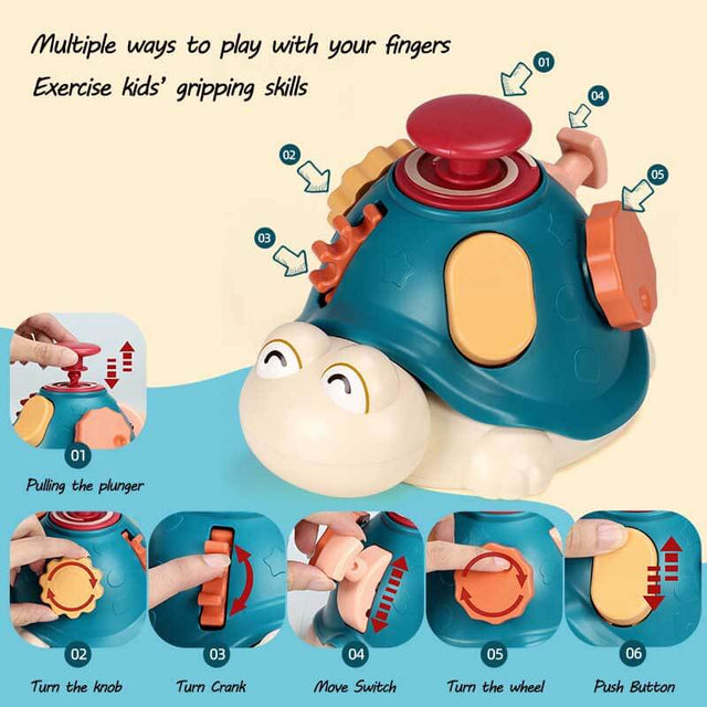 Turtle Finger Explorer Toy | Shinymarch