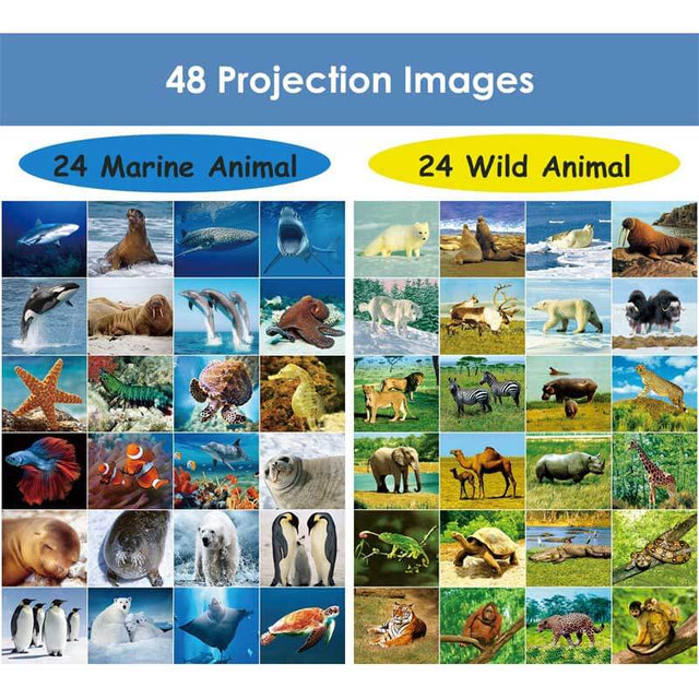 2-Pack Wild Animal & Seaworld Torch and Projector with 6 Discs and 48 Images, Ideal Toys for Boys, Cool Kids Torch, Educational Science Kits for Toddlers and Children Ages 3 4 5 6 7 Year Old | Shinymarch
