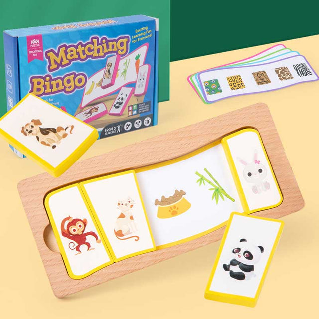 Wooden Cognitive Matching Puzzle | Shinymarch