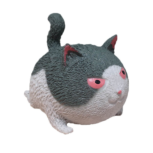 Gato de rebote invencible