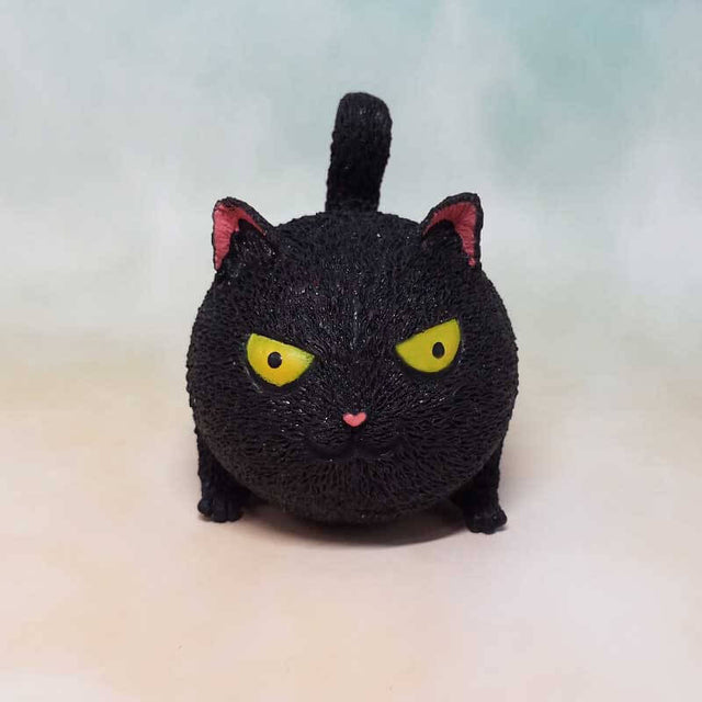 Gato de rebote invencible
