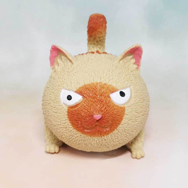 Gato de rebote invencible