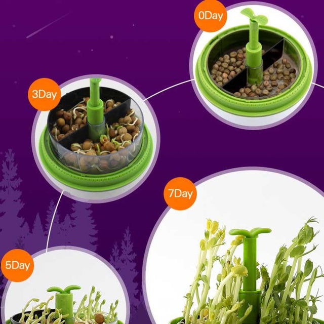 Mini Plant Incubator | Shinymarch
