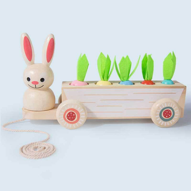 Multiple Function Vegetables and Fruits Harvest Wooden Montessori Toys, Carrot Pulling Rabbit Trailer | Shinymarch