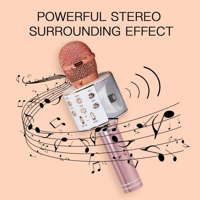 Bluetooth Karaoke Wireless Microphone for Kids Singing | Shinymarch