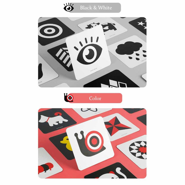 Early Education Cognitive Card | Shinymarch