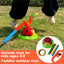 Musical Jump Toy - Fun Ladybug Musical Toy Ring Game, 2-in-1 Jumping Toss Activity | Outdoor Indoor Kids, Summer Play Equipment for Toddler Boys Girls Backyard Active Entertainment | Shinymarch