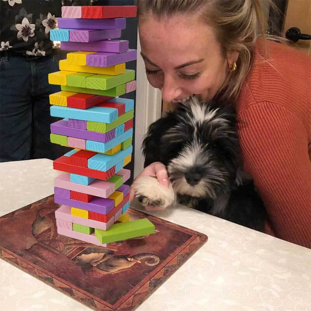 Wooden Colorful Stacking Blocks