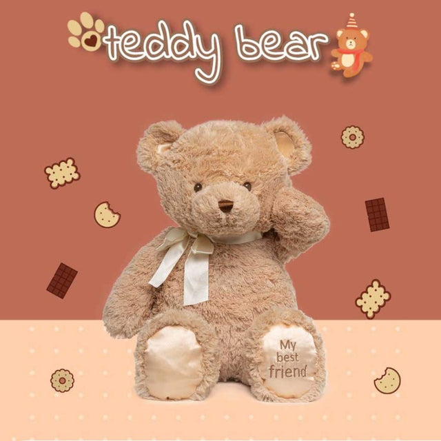 Teddy Bear Plush Toy | Shinymarch