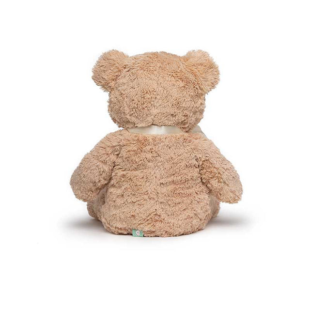 Teddy Bear Plush Toy | Shinymarch