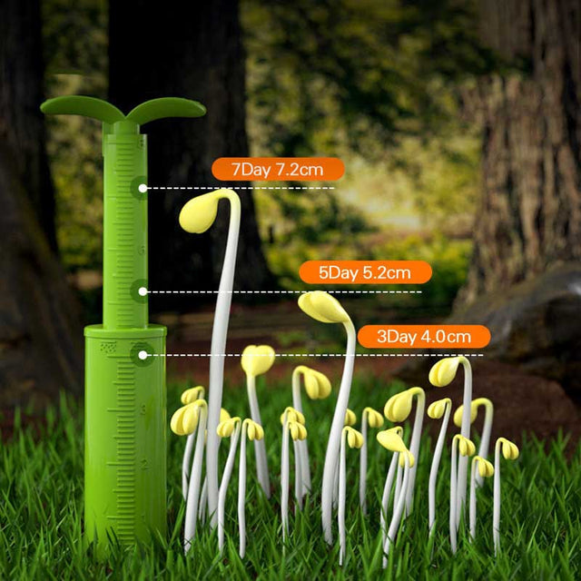 Mini Plant Incubator | Shinymarch