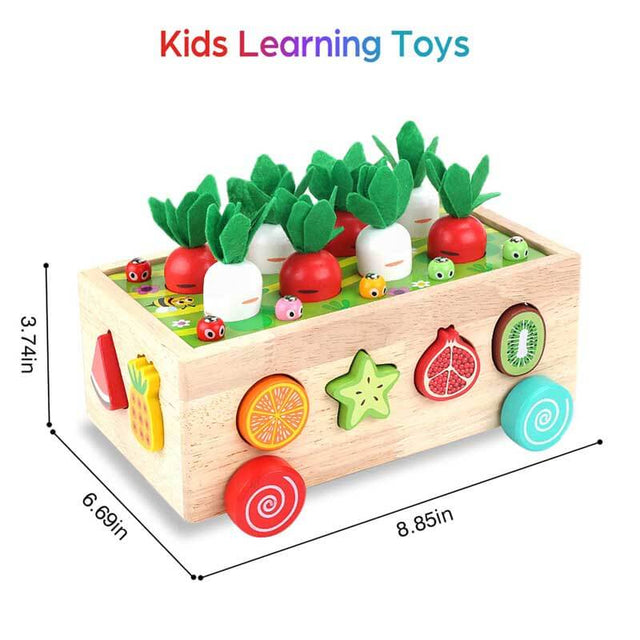 Montessori Wooden Farm Toys for Toddlers | Shinymarch